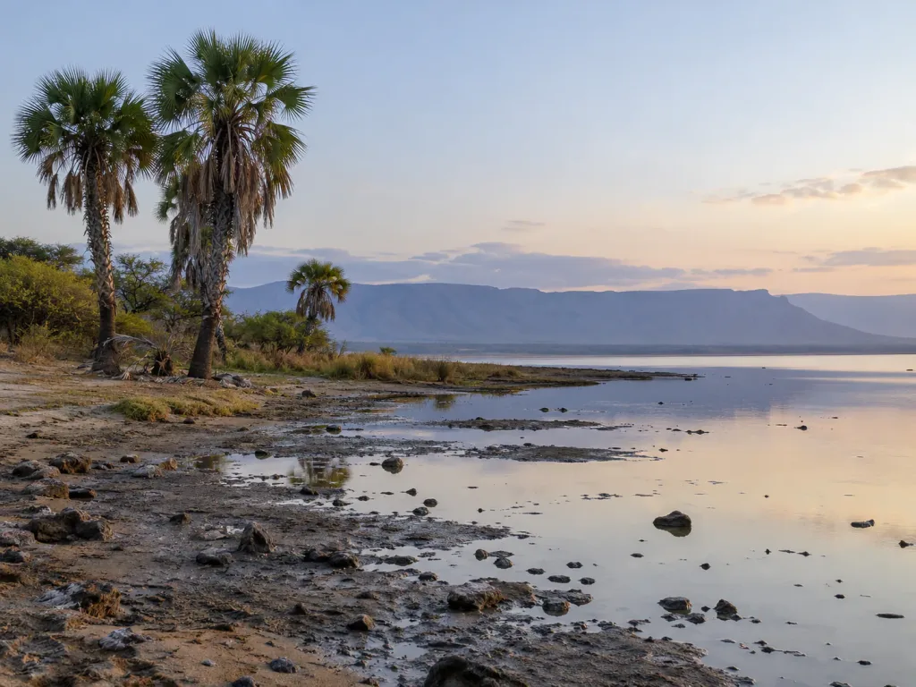 Palm trees on the shore of Lake Eyasi at dawn